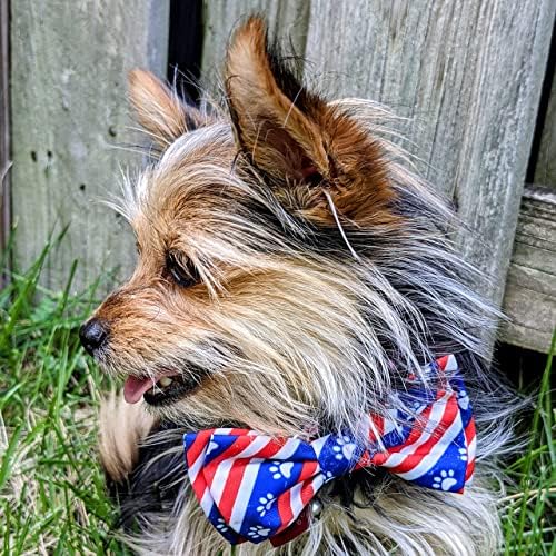 Комплект за кучета Huxley & Kent 4 юли | Малка | Lil Firecracker Bone & Paws & носи Вратовръзка Райе | Плюшен, Скрипучая,