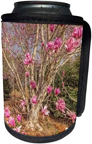 3dRose Boehm Photography Garden - Красива розова цъфтящо дърво - Опаковки за бутилки-охладител (cc_181020_1)